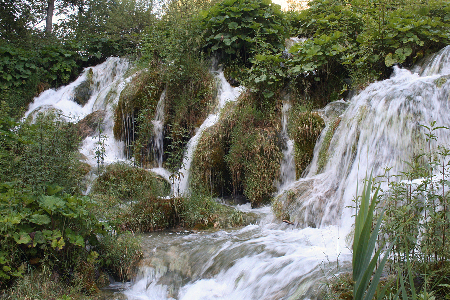5999_Plitvicka jezera N.P..JPG